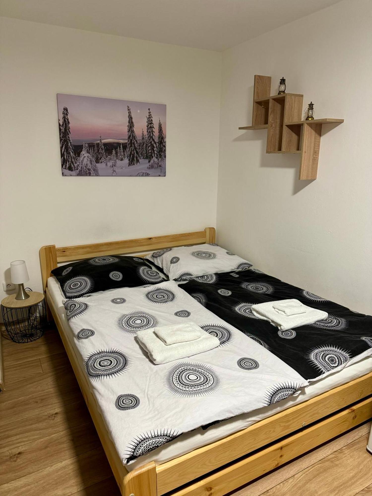 יאנוב נאד ניסו Jizerske Apartmany Ha&Ha מראה חיצוני תמונה